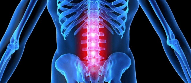 Information of the intervertebral disc